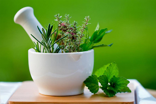 How to cope with the diseases using herbs
